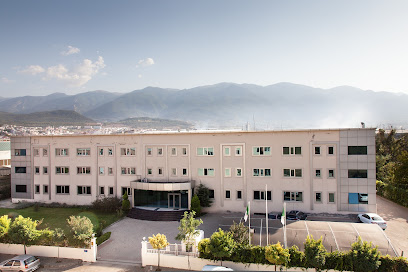 Gülipek Textile Co. kapak görseli
