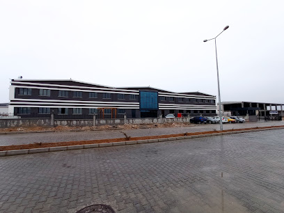 Elifsu Tekstil San. Tic. Ltd. Şti. kapak görseli