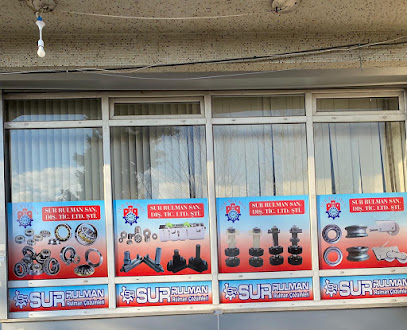 Sur Rulman Çözümleri kapak görseli