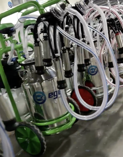 EGEPULS Milking technologies kapak görseli