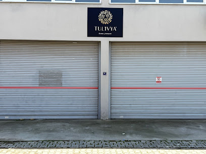 Tulivya kapak görseli