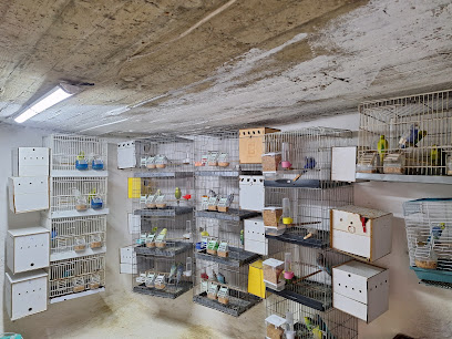 Muhabbet kus evi kapak görseli