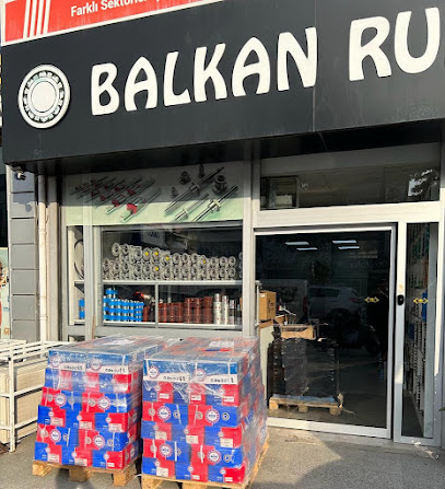 Balkan Rulman kapak görseli