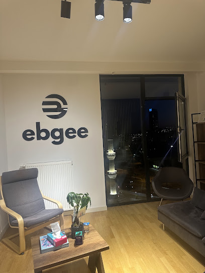 EBGEE E-TİCARET İNŞAAT EMLAK TURİZM GIDA GİYİM LİMİTED ŞİRKETİ kapak görseli
