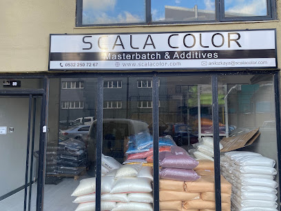 Scala Color kapak görseli