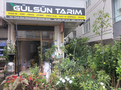 Gülsün Tarım Zirai İlaç Bayi Gübre Fide Fidan Tohum Alet Ekipman kapak görseli
