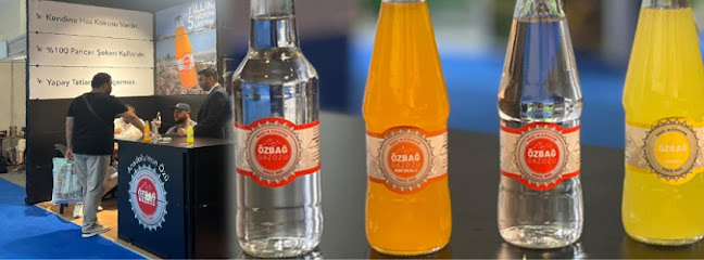 Ozbag Gazoz kapak görseli