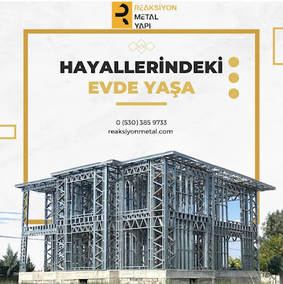 Reaksiyon Metal - Hafif Çelik kapak görseli