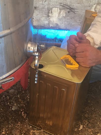Lavanta Balı ve Lavanta Ürüleri kapak görseli