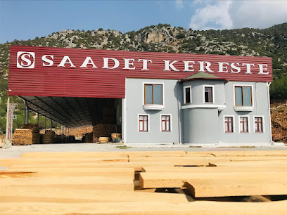 Saadet Kereste kapak görseli