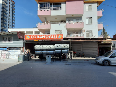 Çobanoğlu enerji kapak görseli