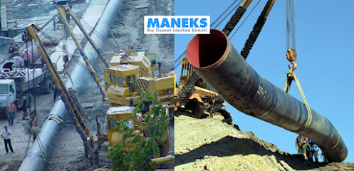 MANEKS Dis Ticaret Ltd. Sti. kapak görseli