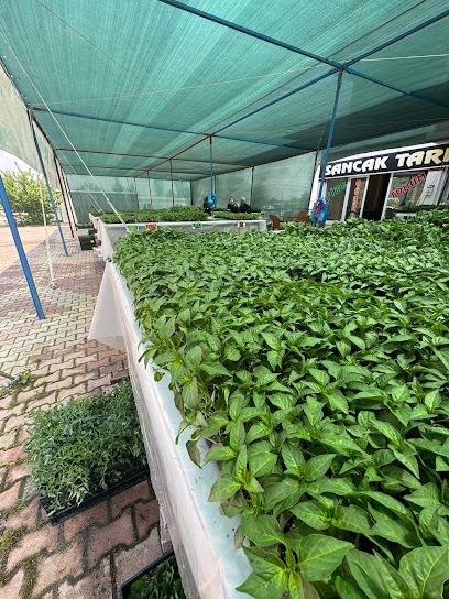 Sancak Tarım Ticaret kapak görseli