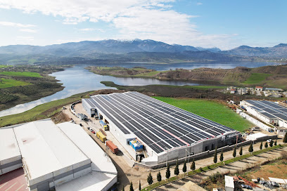 MEM Solar Güneş Paneli Fabrikası kapak görseli