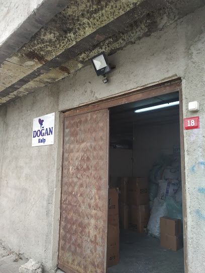 DOĞAN KULP kapak görseli