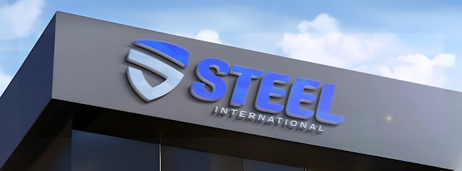 STEEL İNTERNATİONAL MAKİNA SANAYİ VE TİC. LTD. ŞTİ. kapak görseli
