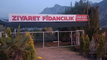 Ziyaret fidancılık kapak görseli