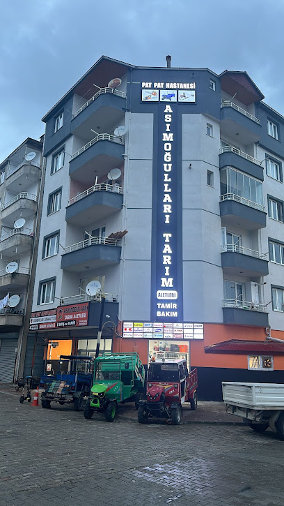 Asımoğulları Tarım Aletleri Pat Pat Hastanesi kapak görseli