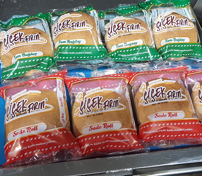 Nan Ekmek kapak görseli