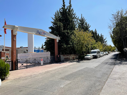 Fellow Enerji A.ş. kapak görseli