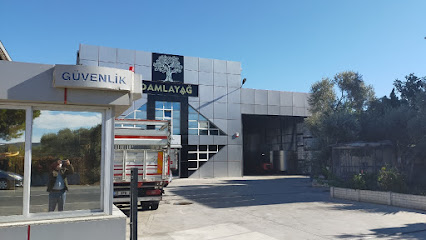 Damlayag kapak görseli