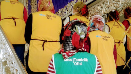 Miss Temizlik Ofisi kapak görseli