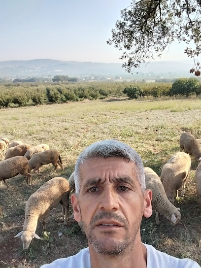 Adakçı Yusuf Beyaz çiftlik kapak görseli