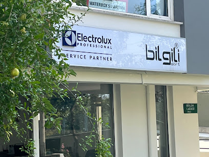 Bilgilidört Electrolux Profesyonel Servis & Satış kapak görseli