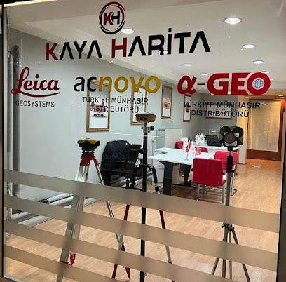 KAYA HARİTA kapak görseli