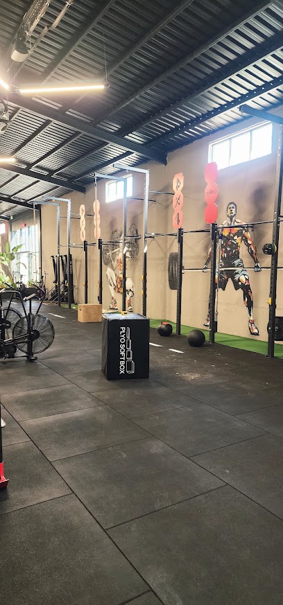 mileSSport FİTNESS EKİPMANLARI İmalatı Satış ve Servis kapak görseli