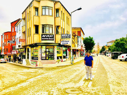 Dilek Şifalı Bitkiler Haydar Dilek kapak görseli