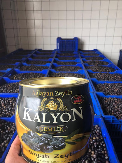 Kalyon Zeytincilik kapak görseli