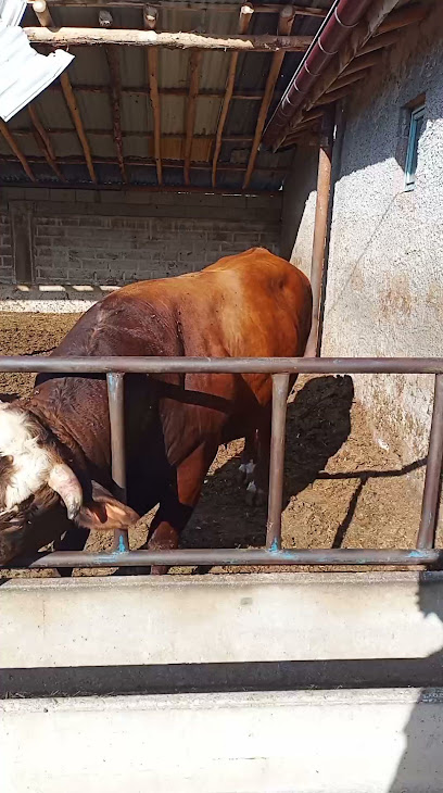 Ergen tarım ve hayvancılık kapak görseli