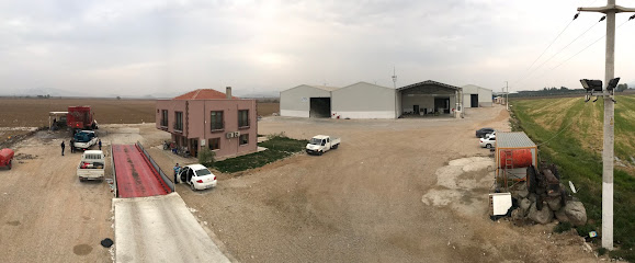 Veli Yüksel Tarım Ürünleri San. Tic. Ltd. Şti. kapak görseli