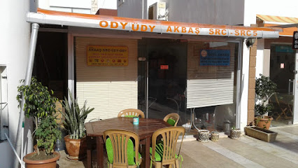 Akbaş Src Mesleki Yeterlilik Bodrum Psikoteknik kapak görseli