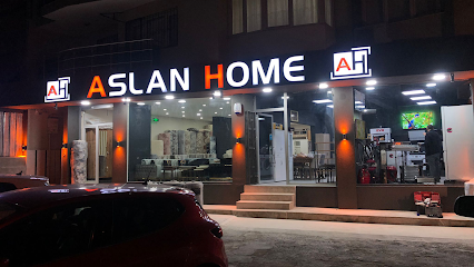 Aslan Hali Sarayi kapak görseli