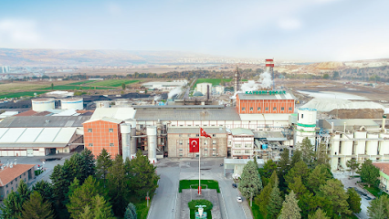 Kayseri Seker kapak görseli