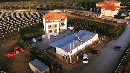 Disa Tarımsal kapak görseli
