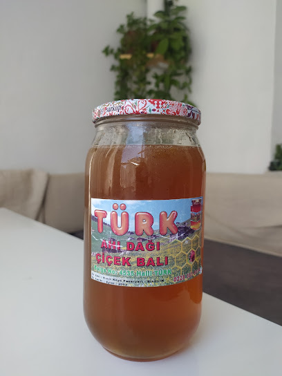 Türk Arı Çiftliği kapak görseli