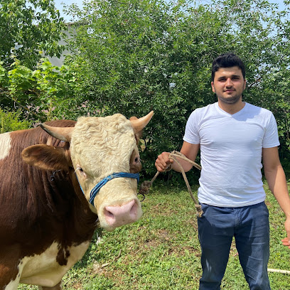 Tarımtube kapak görseli