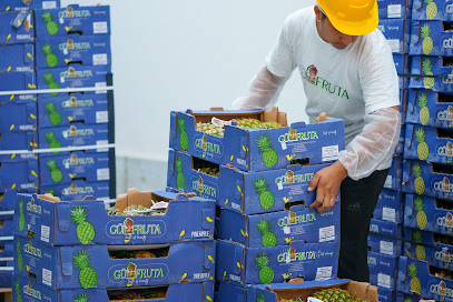 MA FRUITS CONSULTANTS GIDA DEPOLAMA. NAK. ITH VE IHR. LTD STI kapak görseli