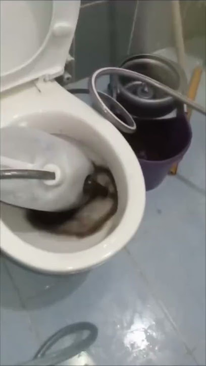 Petek temizleme kapak görseli