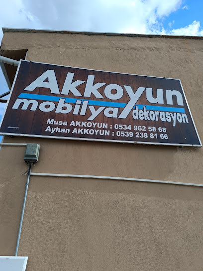 Akkoyun mobilya kapak görseli