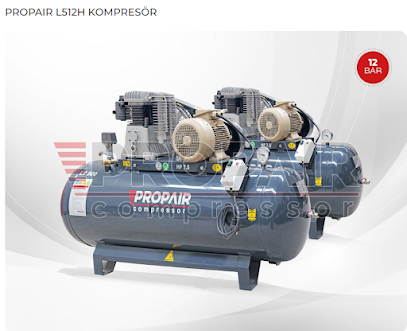 PROPAIR MAKİNA KOMPRESÖR SANAYİ TİCARET LİMİTED ŞİRKETİ kapak görseli