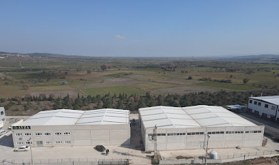 Ayza Dekoratif Mobilya San.Tic.Ltd.Şti. kapak görseli