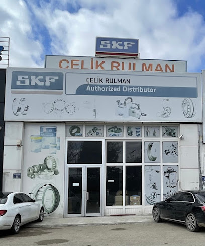 Skf Rulman kapak görseli