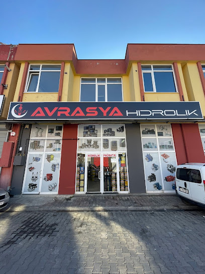 Avrasya Pnömatik Hidrolik Mak. San. Tic. Ltd. kapak görseli