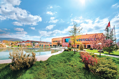 Çilek Fabrika kapak görseli