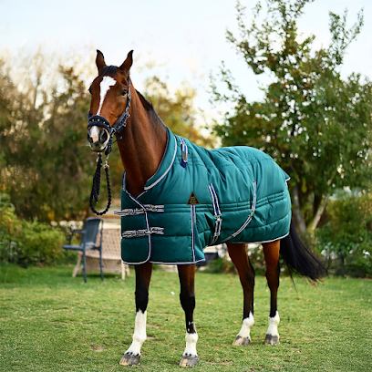 Atex Binicilik & Equestrian /Üretici Firma / Turkey Manufacturer Of Equestrian kapak görseli
