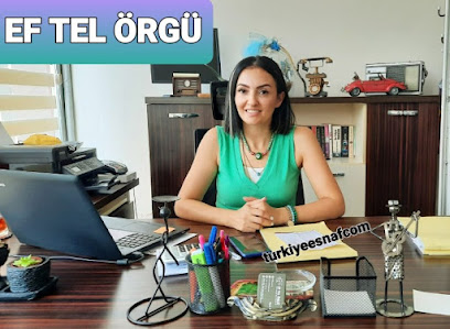 Ef Tel Örgü Panel Çit Sistemleri Escom kapak görseli